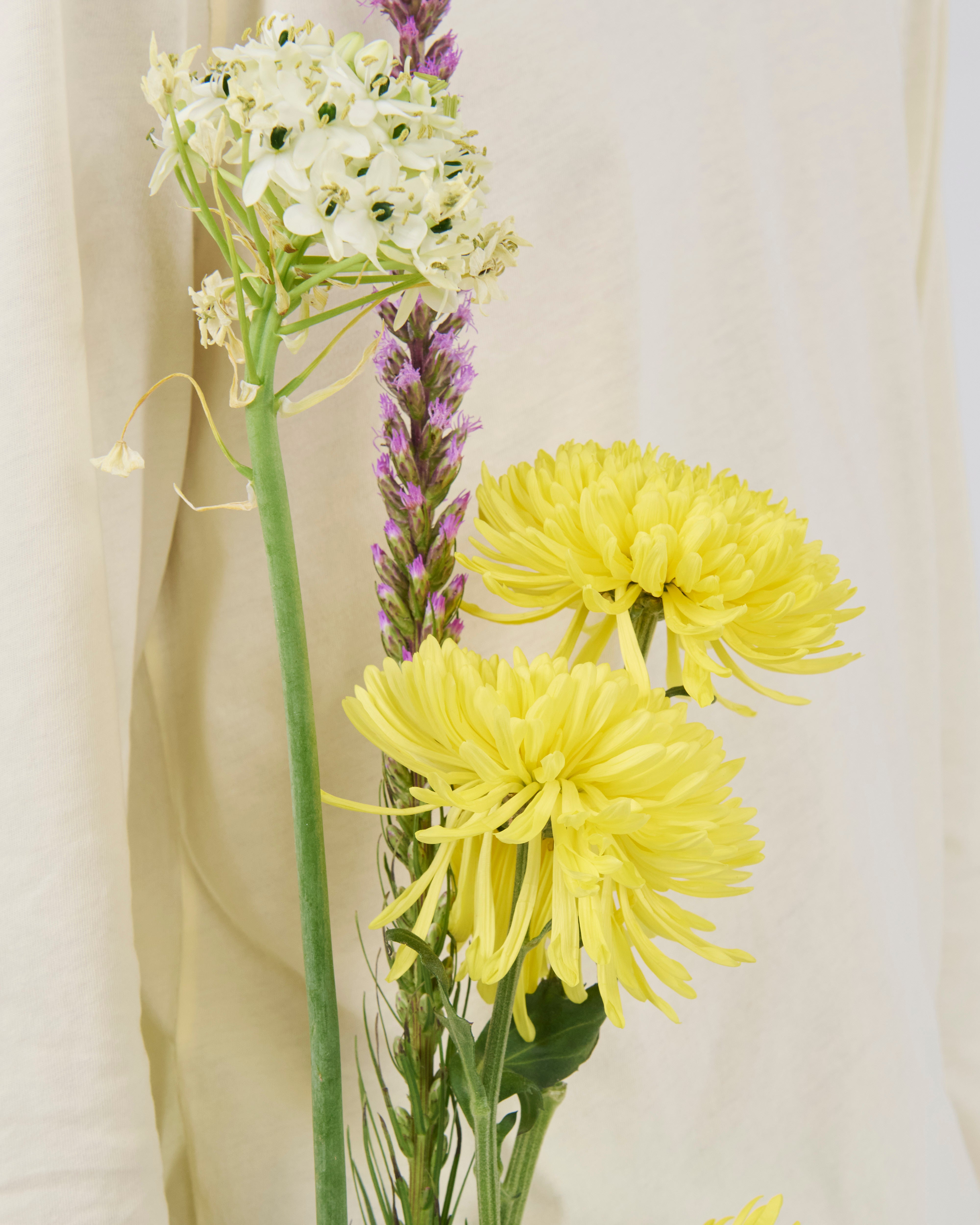 Boxy Longsleeve 135, Lemon Peel
