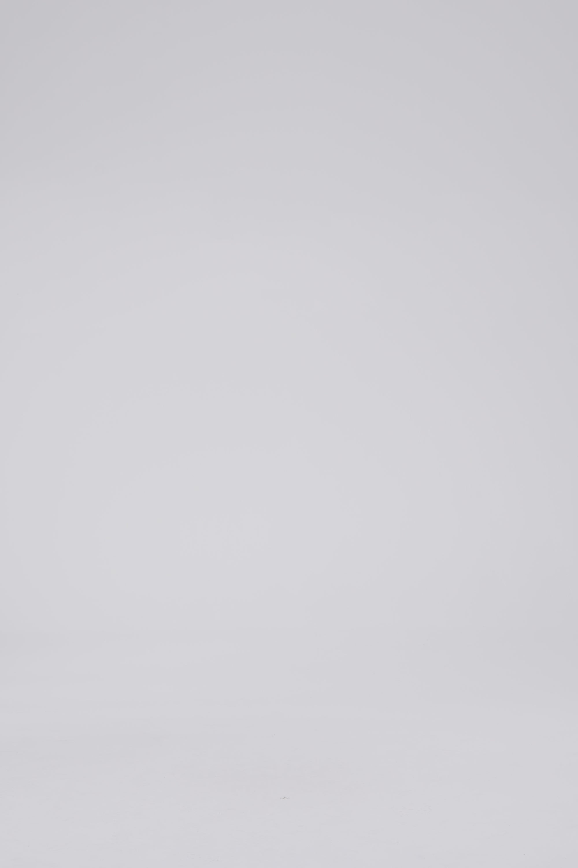 Zip Hoodie 505, Cocoa Paisley Atelier E.B