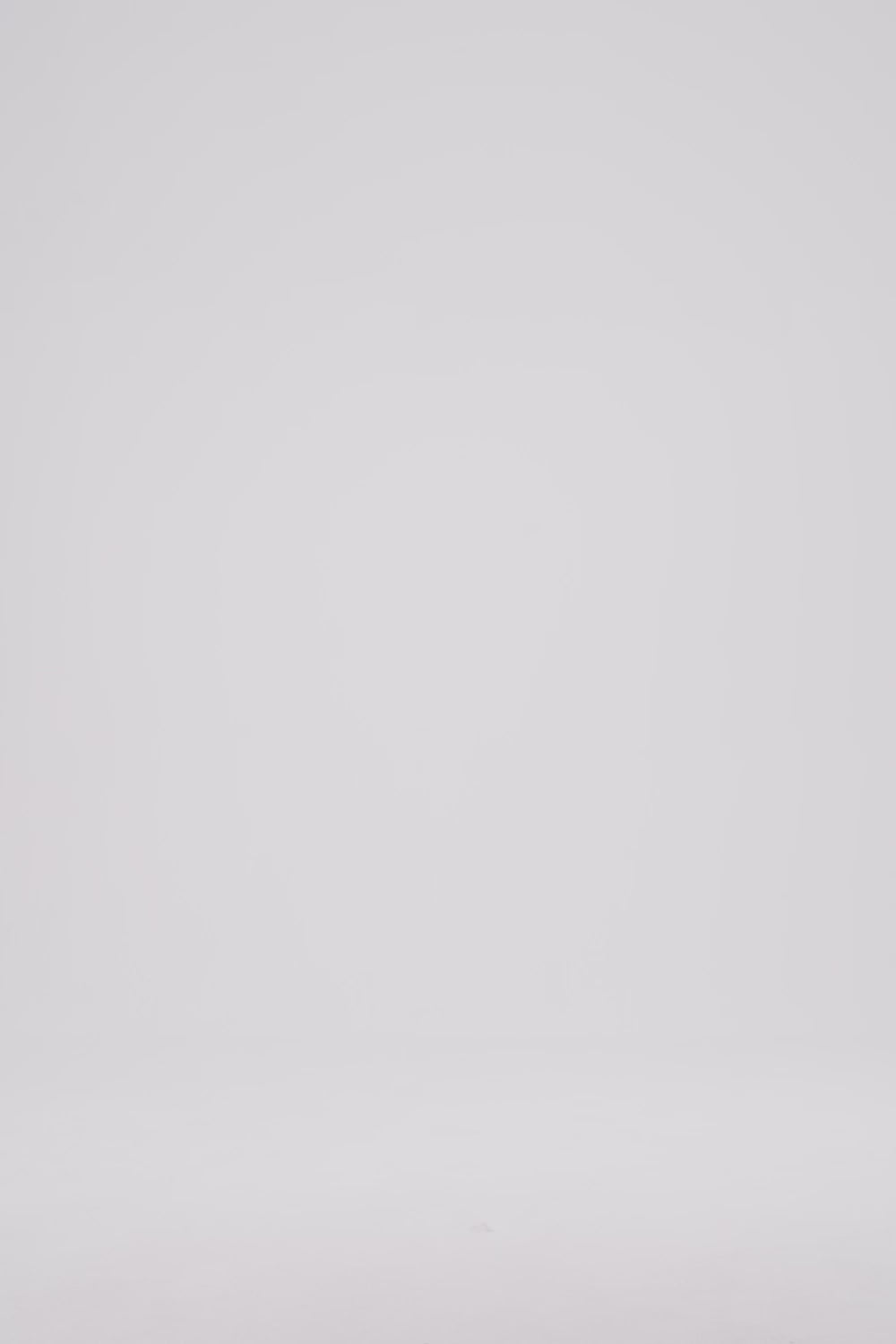 Raglan Sweatshirt, Grey Mescla