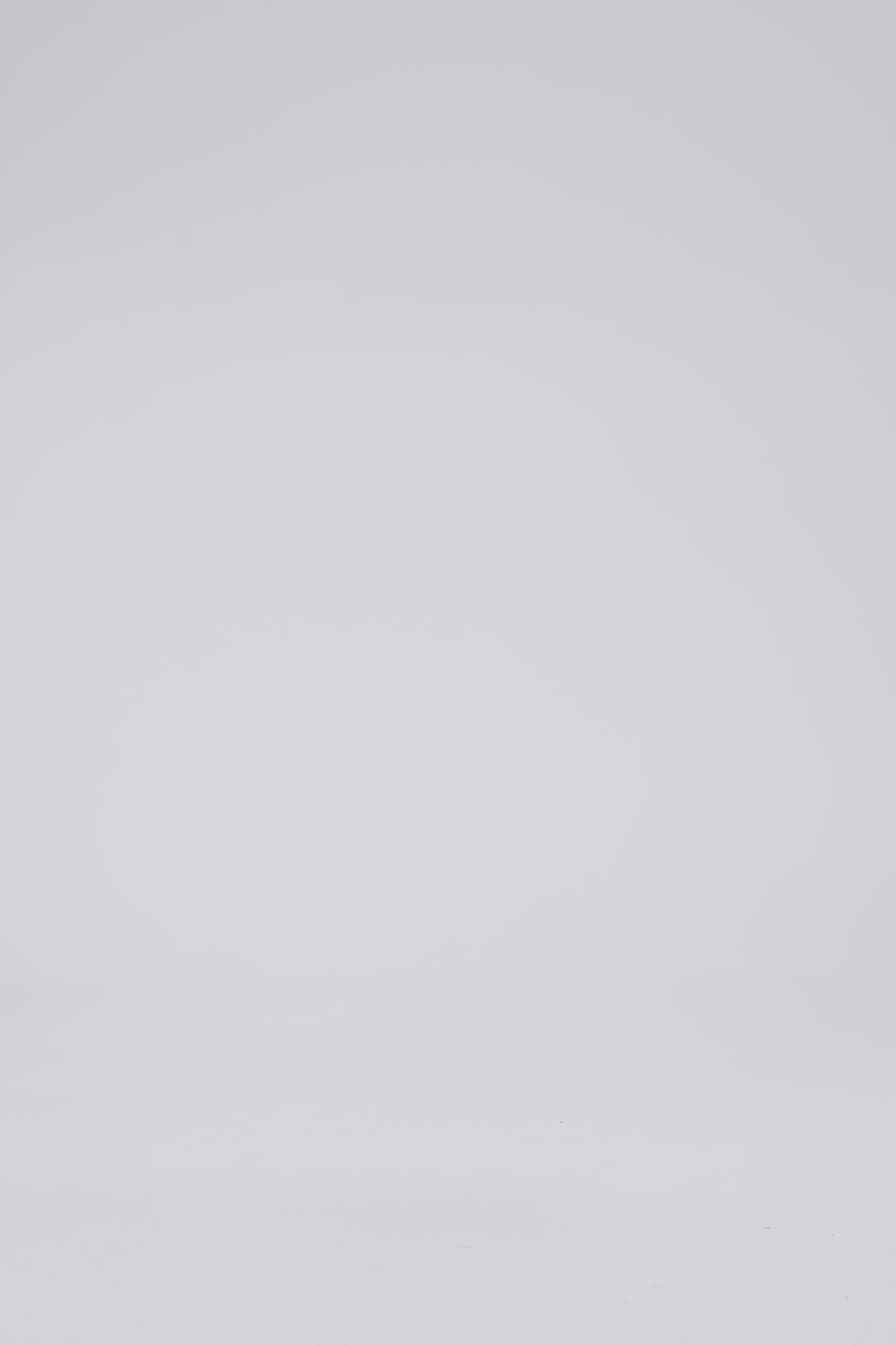 Boxy Longsleeve 135, Purple Paisley Atelier E.B